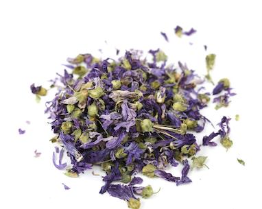 سلامت پوست با گیاهان دارویی | راهکارهای طبیعی و مؤثر